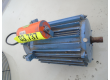 Woods ventilator motor 230v.